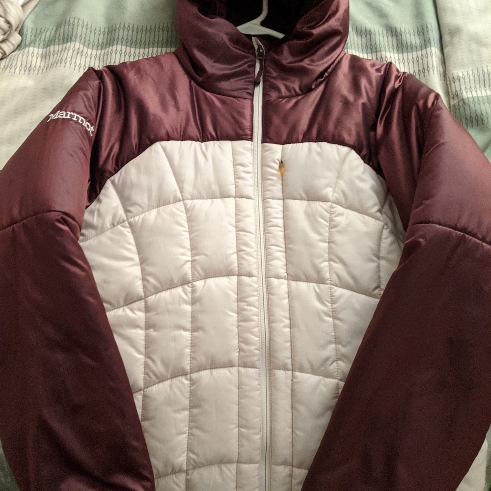 Coat
